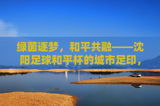 绿茵逐梦,和平共融——沈阳足球和平杯的城市足印,和平共融绿茵梦,沈阳足球和平杯城市足印 绿茵逐梦,和平共融——沈阳足球和平杯的城市足印,和平共融绿茵梦,沈阳足球和平杯城市足印
