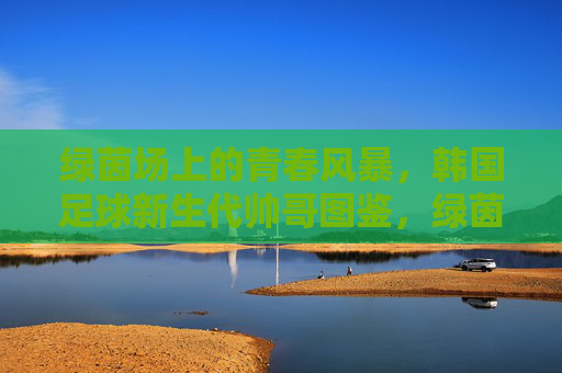 绿茵场上的青春风暴,韩国足球新生代帅哥图鉴,绿茵青春风暴,韩国足球新生代帅哥图鉴 绿茵场上的青春风暴,韩国足球新生代帅哥图鉴,绿茵青春风暴,韩国足球新生代帅哥图鉴