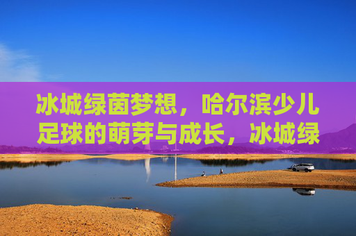 冰城绿茵梦想，哈尔滨少儿足球的萌芽与成长，冰城绿茵梦想，哈尔滨少儿足球的萌芽与成长