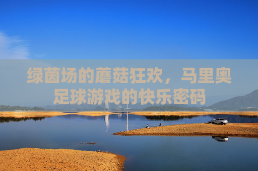 绿茵场的蘑菇狂欢,马里奥足球游戏的快乐密码 绿茵场的蘑菇狂欢,马里奥足球游戏的快乐密码