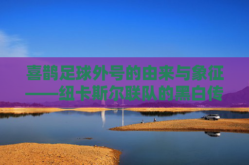 喜鹊足球外号的由来与象征——纽卡斯尔联队的黑白传奇,喜鹊外号的由来与象征,纽卡斯尔联队的黑白传奇 喜鹊足球外号的由来与象征——纽卡斯尔联队的黑白传奇,喜鹊外号的由来与象征,纽卡斯尔联队的黑白传奇