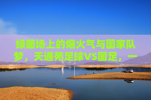 绿茵场上的烟火气与国家队梦，天通苑足球VS国足，一场关于热爱的对话，烟火气与国家队梦，天通苑足球与国足的热爱对话