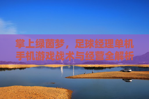 掌上绿茵梦，足球经理单机手机游戏战术与经营全解析，掌上绿茵梦，足球经理手游单机战术与经营全解析