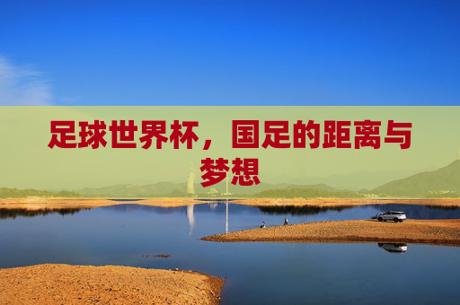 足球世界杯，国足的距离与梦想