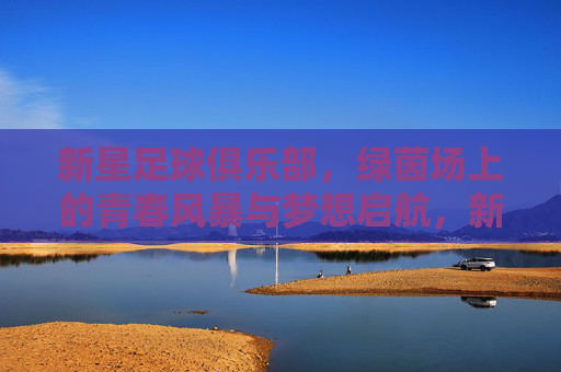 新星足球俱乐部，绿茵场上的青春风暴与梦想启航，新星足球俱乐部，绿茵青春风暴，梦想扬帆启航