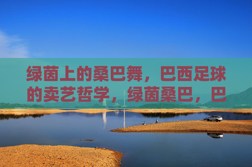 绿茵上的桑巴舞,巴西足球的卖艺哲学,绿茵桑巴,巴西足球的艺术哲学 绿茵上的桑巴舞,巴西足球的卖艺哲学,绿茵桑巴,巴西足球的艺术哲学