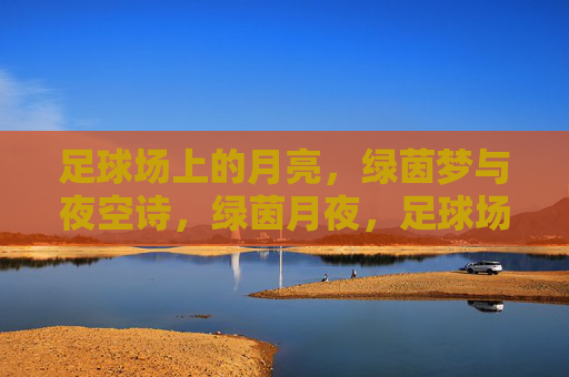 足球场上的月亮,绿茵梦与夜空诗,绿茵月夜,足球场的诗与梦 足球场上的月亮,绿茵梦与夜空诗,绿茵月夜,足球场的诗与梦
