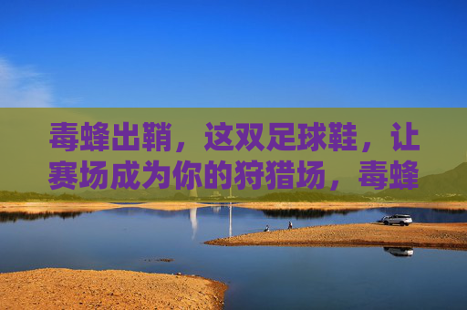 毒蜂出鞘，这双足球鞋，让赛场成为你的狩猎场，毒蜂出鞘，赛场即狩猎场