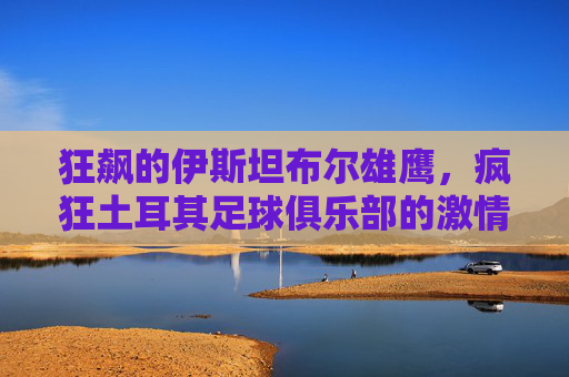 狂飙的伊斯坦布尔雄鹰，疯狂土耳其足球俱乐部的激情与传奇，伊斯坦布尔雄鹰，土耳其足球的狂飙激情与传奇