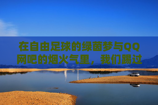 在自由足球的绿茵梦与QQ网吧的烟火气里,我们踢过整个青春,绿茵烟火,青春足印 在自由足球的绿茵梦与QQ网吧的烟火气里,我们踢过整个青春,绿茵烟火,青春足印