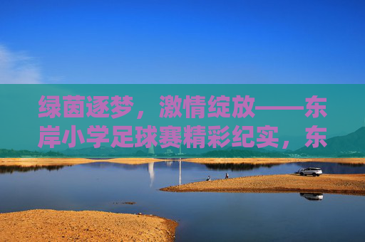 绿茵逐梦,激情绽放——东岸小学足球赛精彩纪实,东岸小学足球赛,绿茵逐梦,激情绽放 绿茵逐梦,激情绽放——东岸小学足球赛精彩纪实,东岸小学足球赛,绿茵逐梦,激情绽放