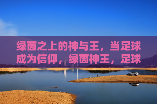 绿茵之上的神与王，当足球成为信仰，绿茵神王，足球信仰的至高象征
