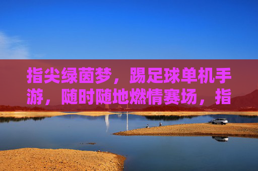 指尖绿茵梦，踢足球单机手游，随时随地燃情赛场，指尖绿茵梦，随时随地燃情的足球单机手游