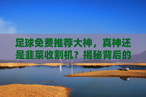足球免费推荐大神,真神还是韭菜收割机?揭秘背后的真相 足球免费推荐大神,真神还是韭菜收割机?揭秘背后的真相