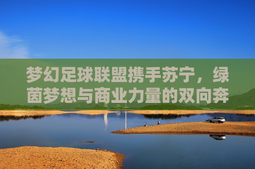 梦幻足球联盟携手苏宁,绿茵梦想与商业力量的双向奔赴,梦幻足球联盟携手苏宁,绿茵梦想与商业力量的双向奔赴 梦幻足球联盟携手苏宁,绿茵梦想与商业力量的双向奔赴,梦幻足球联盟携手苏宁,绿茵梦想与商业力量的双向奔赴