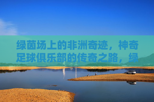 绿茵场上的非洲奇迹,神奇足球俱乐部的传奇之路,绿茵奇迹,非洲足球俱乐部的传奇之路 绿茵场上的非洲奇迹,神奇足球俱乐部的传奇之路,绿茵奇迹,非洲足球俱乐部的传奇之路