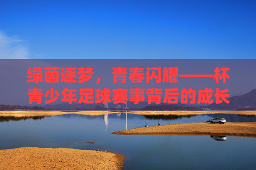 绿茵逐梦,青春闪耀——杯青少年足球赛事背后的成长与热爱,绿茵逐梦,青春闪耀,青少年足球赛事的成长与热爱 绿茵逐梦,青春闪耀——杯青少年足球赛事背后的成长与热爱,绿茵逐梦,青春闪耀,青少年足球赛事的成长与热爱