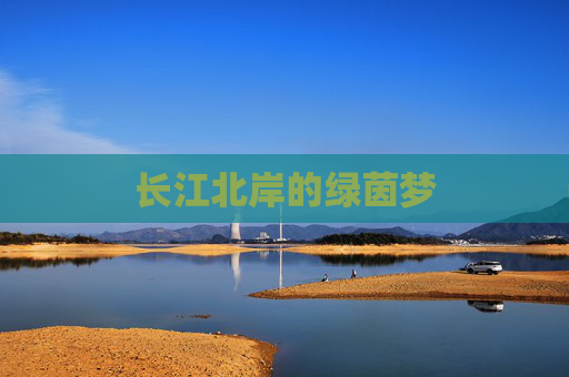 长江北岸的绿茵梦 长江北岸的绿茵梦