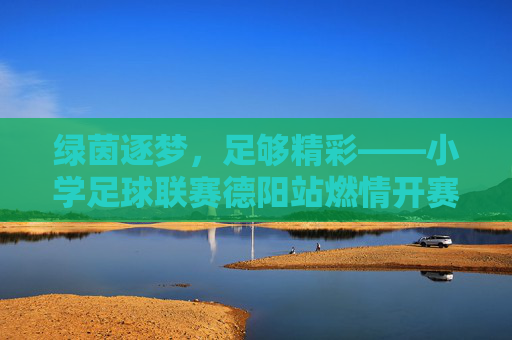 绿茵逐梦，足够精彩——小学足球联赛德阳站燃情开赛，小学足球联赛德阳站燃情开赛，绿茵逐梦，足够精彩