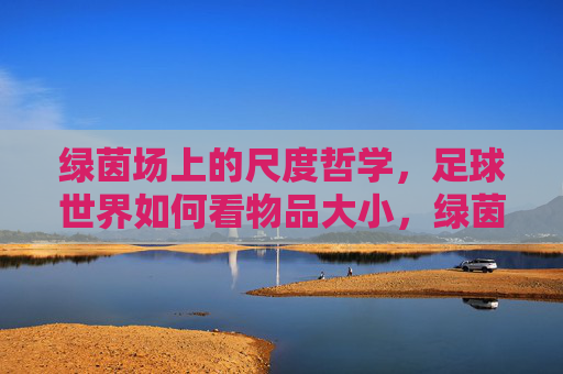 绿茵场上的尺度哲学，足球世界如何看物品大小，绿茵场上的尺度哲学，足球世界的大小观
