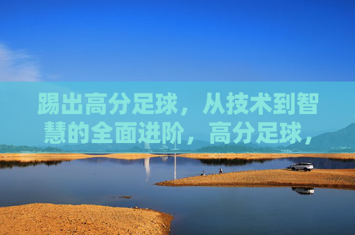 踢出高分足球，从技术到智慧的全面进阶，高分足球，从技术到智慧的全面进阶