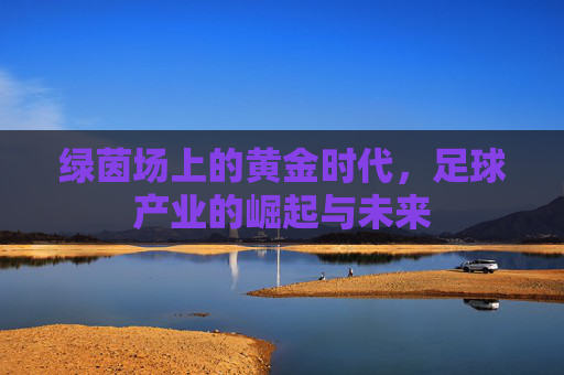 绿茵场上的黄金时代，足球产业的崛起与未来