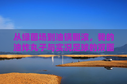 从绿茵场到油锅翻滚,我的油炸丸子与实况足球的双面人生,从绿茵场到油锅,我的双面人生 从绿茵场到油锅翻滚,我的油炸丸子与实况足球的双面人生,从绿茵场到油锅,我的双面人生