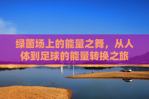 绿茵场上的能量之舞,从人体到足球的能量转换之旅 绿茵场上的能量之舞,从人体到足球的能量转换之旅