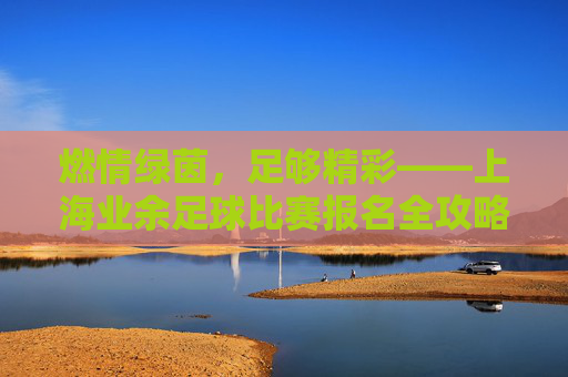 燃情绿茵，足够精彩——上海业余足球比赛报名全攻略，燃情绿茵，上海业余足球比赛报名全攻略