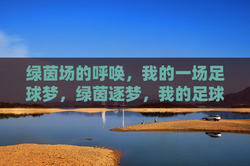 绿茵场的呼唤,我的一场足球梦,绿茵逐梦,我的足球梦 绿茵场的呼唤,我的一场足球梦,绿茵逐梦,我的足球梦