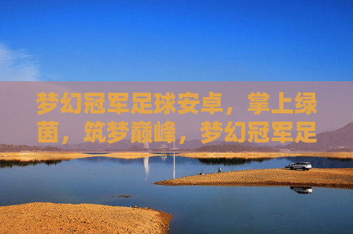 梦幻冠军足球安卓,掌上绿茵,筑梦巅峰,梦幻冠军足球安卓,掌上绿茵,筑梦巅峰 梦幻冠军足球安卓,掌上绿茵,筑梦巅峰,梦幻冠军足球安卓,掌上绿茵,筑梦巅峰