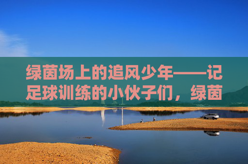 绿茵场上的追风少年——记足球训练的小伙子们，绿茵场上的追风少年，足球训练记