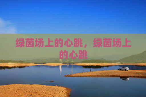 绿茵场上的心跳，绿茵场上的心跳