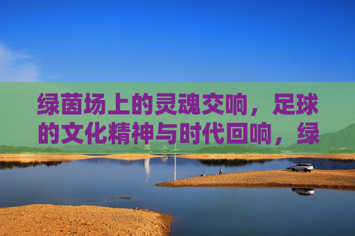 绿茵场上的灵魂交响，足球的文化精神与时代回响，绿茵场上的灵魂交响，足球的文化精神与时代回响