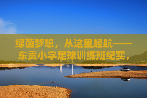 绿茵梦想,从这里起航——东贡小学足球训练班纪实,东贡小学足球训练班,绿茵梦想从这里起航 绿茵梦想,从这里起航——东贡小学足球训练班纪实,东贡小学足球训练班,绿茵梦想从这里起航