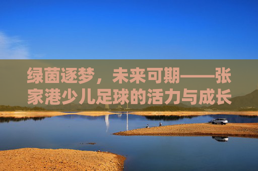 绿茵逐梦，未来可期——张家港少儿足球的活力与成长，张家港少儿足球，逐梦绿茵，活力成长