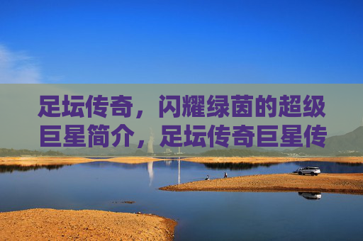 足坛传奇，闪耀绿茵的超级巨星简介，足坛传奇巨星传