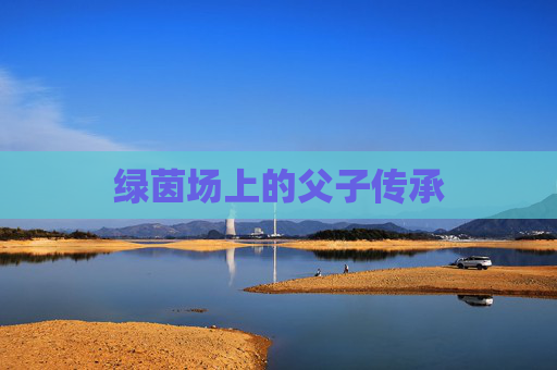 绿茵场上的父子传承 绿茵场上的父子传承