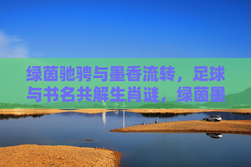 绿茵驰骋与墨香流转，足球与书名共解生肖谜，绿茵墨香共解生肖谜