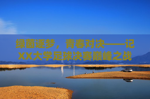 绿茵逐梦，青春对决——记XX大学足球决赛巅峰之战，绿茵逐梦，青春对决——XX大学足球决赛巅峰之战