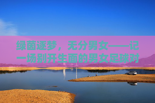 绿茵逐梦，无分男女——记一场别开生面的男女足球对抗赛，绿茵逐梦无分男女——男女对抗赛