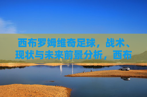 西布罗姆维奇足球，战术、现状与未来前景分析，西布罗姆维奇，战术、现状与未来前景分析