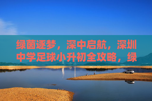 绿茵逐梦,深中启航,深圳中学足球小升初全攻略,绿茵逐梦深中启航,深圳中学足球小升初全攻略 绿茵逐梦,深中启航,深圳中学足球小升初全攻略,绿茵逐梦深中启航,深圳中学足球小升初全攻略