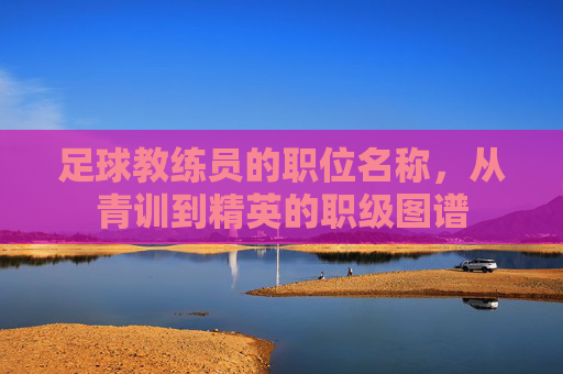 足球教练员的职位名称，从青训到精英的职级图谱