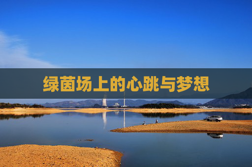 绿茵场上的心跳与梦想