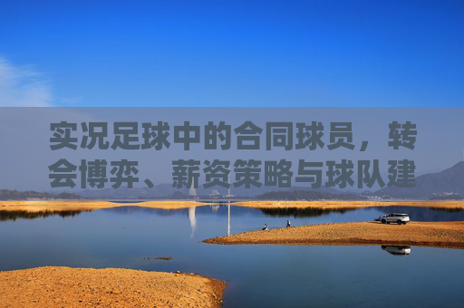 实况足球中的合同球员，转会博弈、薪资策略与球队建设的隐形棋局，实况足球转会薪资博弈，合同球员与球队建设的隐形棋局