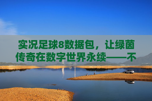 实况足球8数据包,让绿茵传奇在数字世界永续——不止是数据更新,更是青春的延续,实况足球8数据包,让绿茵传奇与青春在数字世界永续 实况足球8数据包,让绿茵传奇在数字世界永续——不止是数据更新,更是青春的延续,实况足球8数据包,让绿茵传奇与青春在数字世界永续