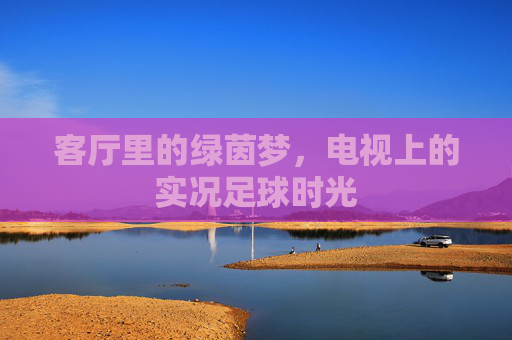 客厅里的绿茵梦,电视上的实况足球时光 客厅里的绿茵梦,电视上的实况足球时光