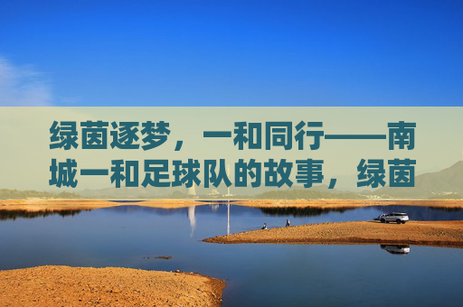 绿茵逐梦,一和同行——南城一和足球队的故事,绿茵逐梦,一和同行 绿茵逐梦,一和同行——南城一和足球队的故事,绿茵逐梦,一和同行