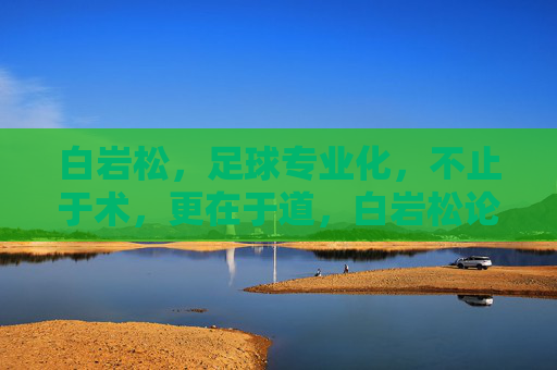 白岩松,足球专业化,不止于术,更在于道,白岩松论足球专业化,不止于术,更在于道 白岩松,足球专业化,不止于术,更在于道,白岩松论足球专业化,不止于术,更在于道